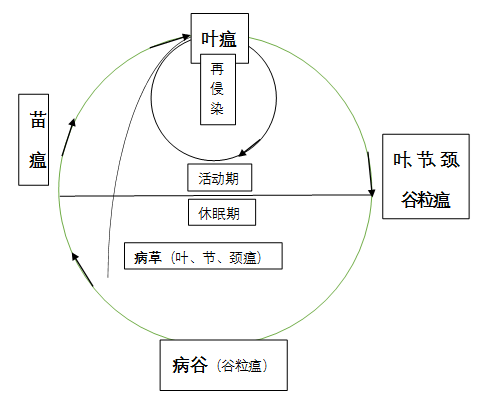 臺(tái)州農(nóng)資